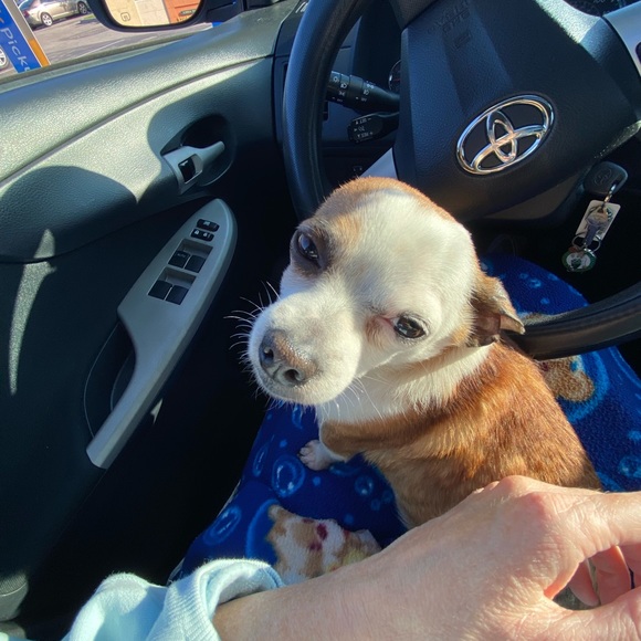 Meet your Posher, Christina - Picture 1 of 1